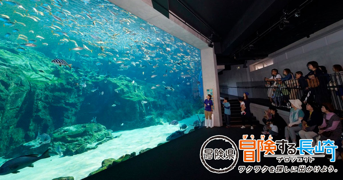 九十九島水族館海きらら」で海の生きものについて学んでみよう！ | 冒険県 冒険する長崎プロジェクト ワクワクを探しに出かけよう